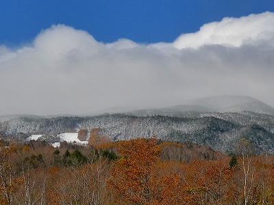 雪、積もった！！！_f0182173_117551.jpg