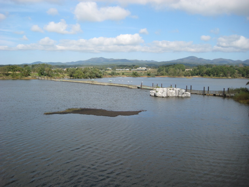 c0013687_1753236.jpg