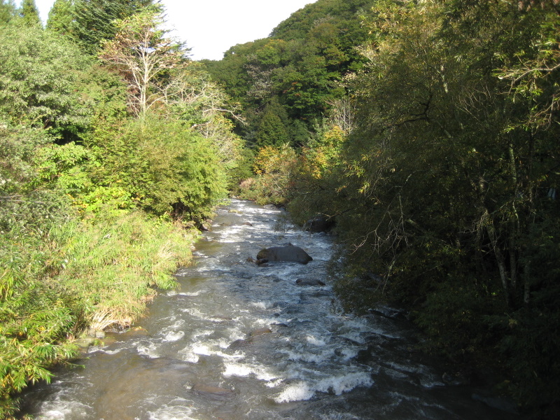 c0013687_18335257.jpg