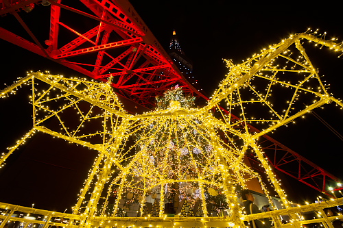 Christmas Illumination　2010　東京タワー_c0082191_2354822.jpg