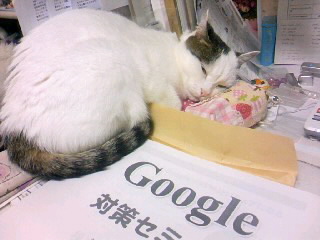 Google対策セミナーへ行ってきました*_a0103293_02859.jpg