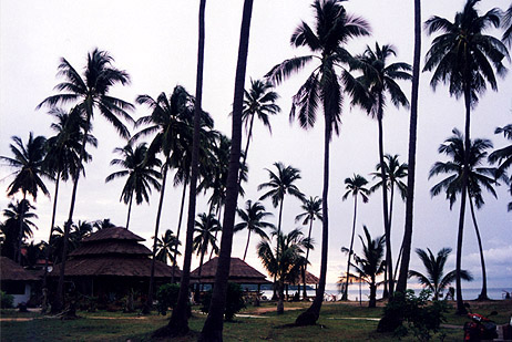 b0191693_14241193.jpg