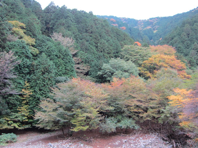 e0107493_19375331.jpg