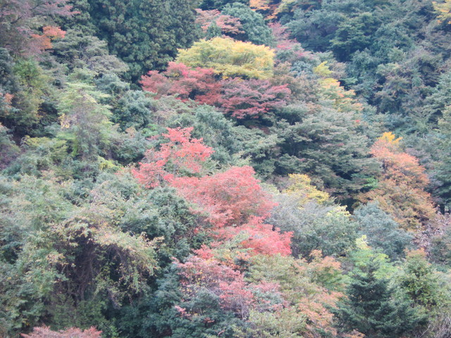 e0107493_19423211.jpg