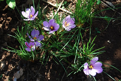 c0124100_2356445.jpg