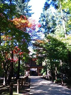 e0075700_8502425.jpg