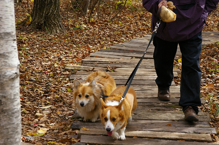 清里Go!Go!　　part-3_c0127703_1523870.jpg