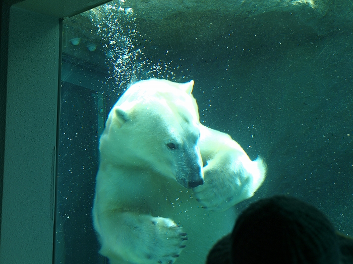 a0164204_1494511.jpg