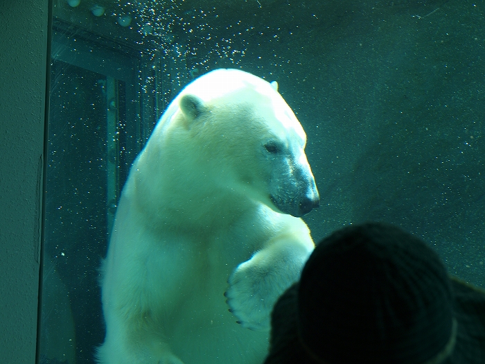 a0164204_1505785.jpg