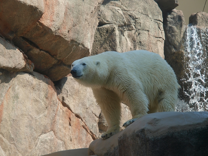 a0164204_212596.jpg