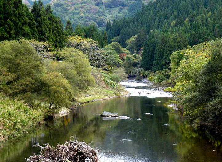 　東北秋旅　　　普通の風景？　　１１．４_d0140806_13423685.jpg