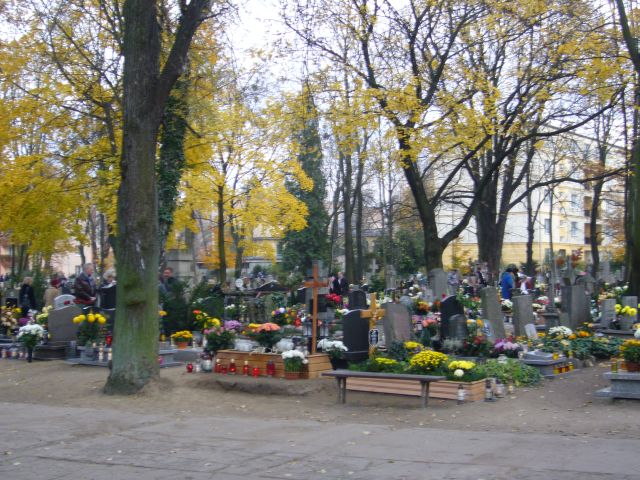e0039206_23471483.jpg
