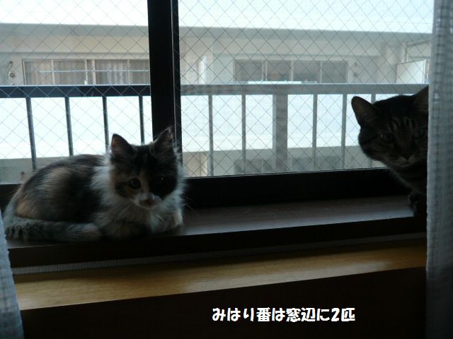e0094407_21533039.jpg
