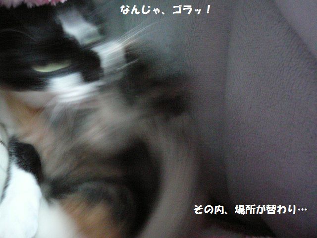 e0094407_2158385.jpg