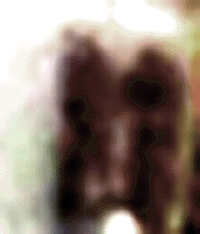 e0103408_10151759.gif