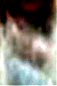 e0103408_10154434.gif