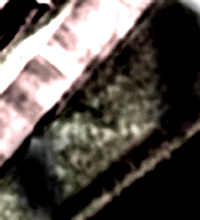 e0103408_106332.gif