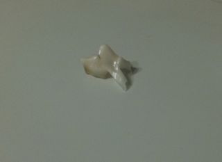 f0227709_12414177.jpg