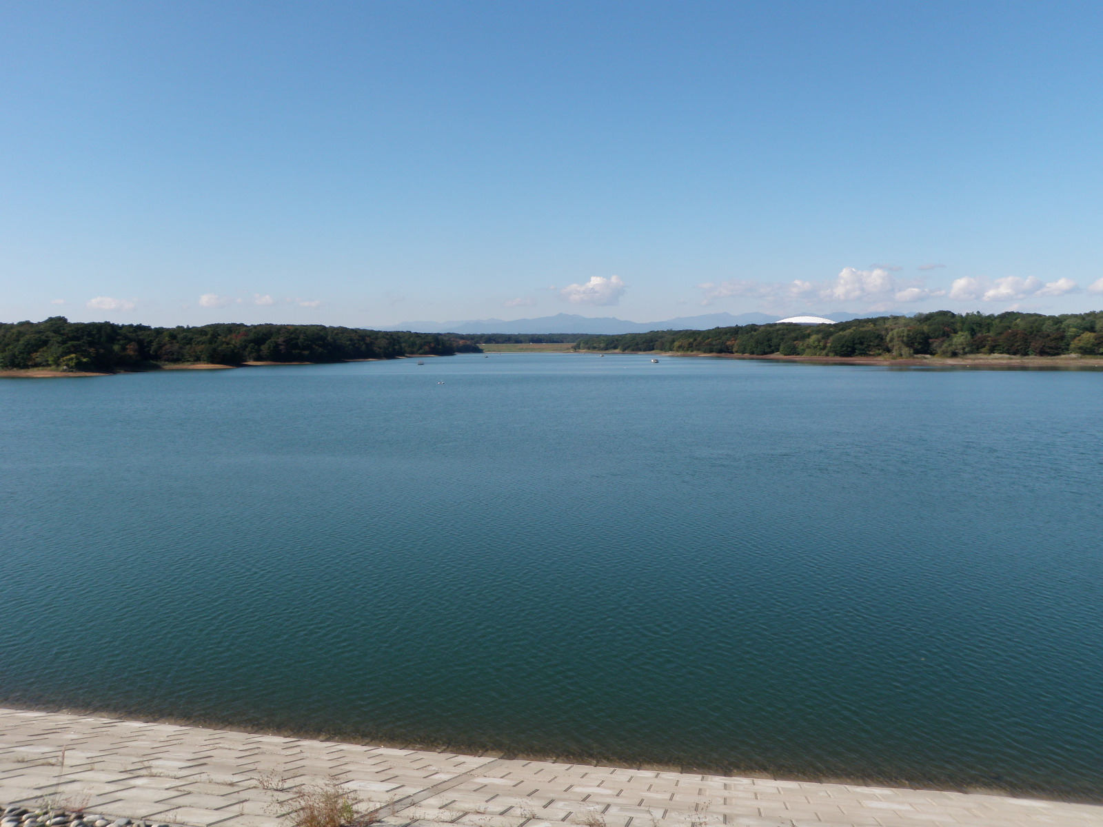 e0215910_9115698.jpg