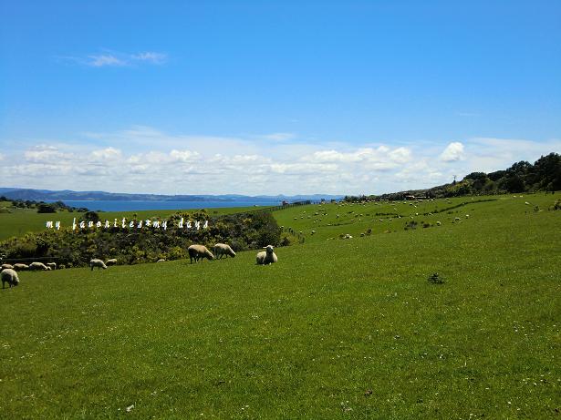 d0181213_87717.jpg