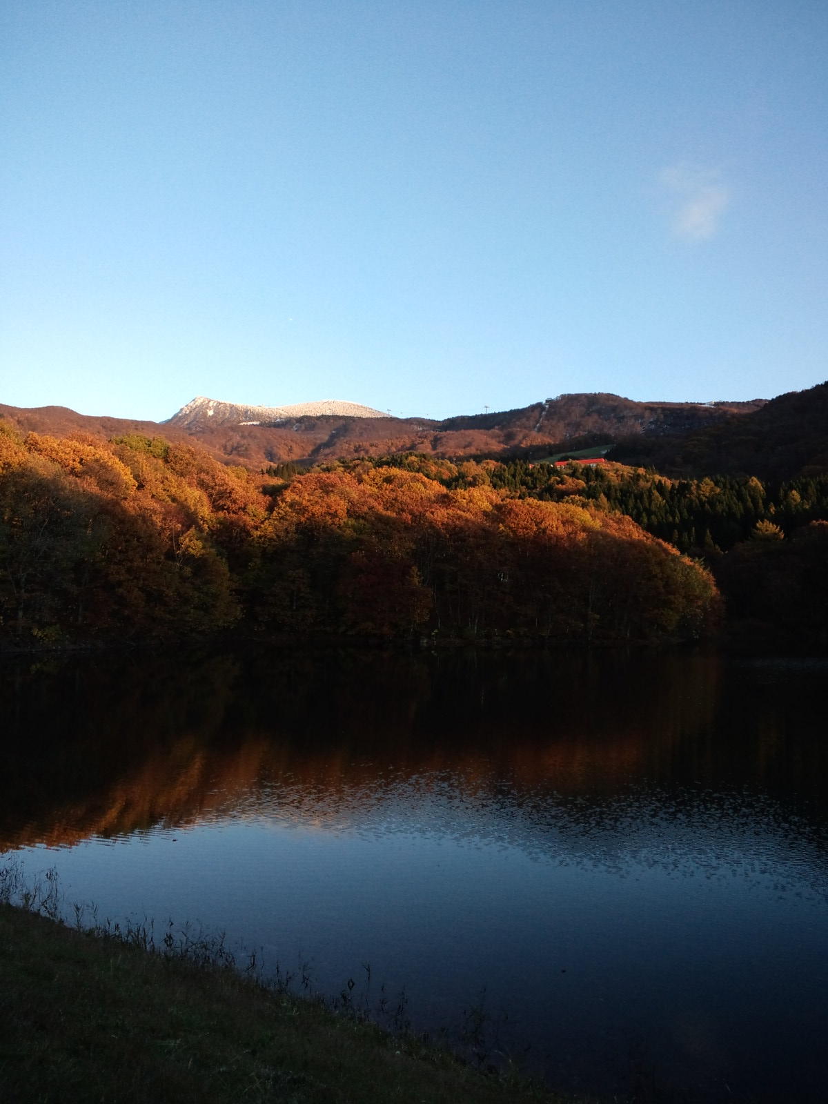b0207514_2013012.jpg