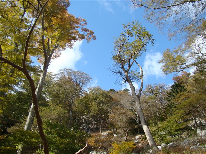 a0127015_19101697.jpg