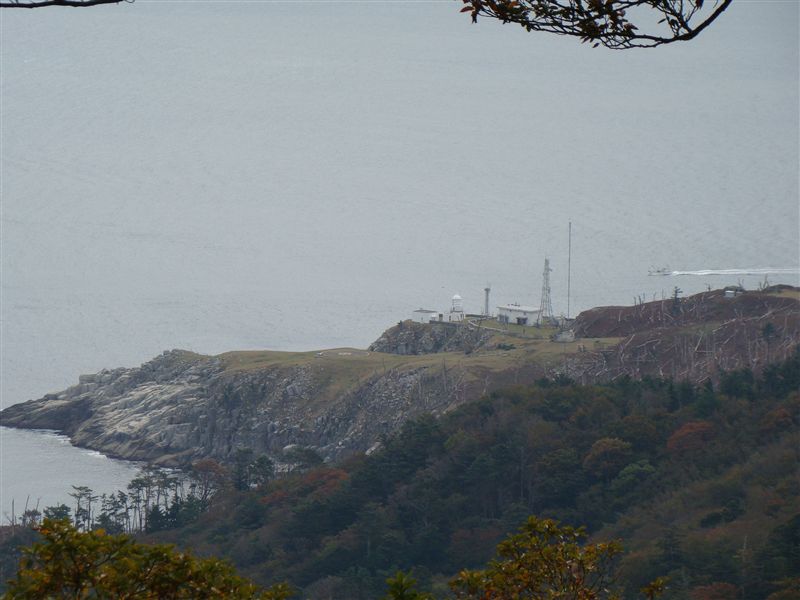a0127015_1984377.jpg