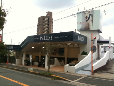 関西最大級 P Luxe ネイチャーアクアリウム的生活 関西最大級 P Luxe ネイチャーアクアリウム的生活