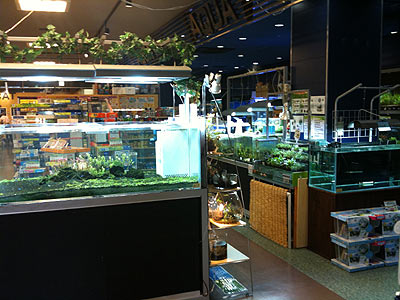 関西最大級 P Luxe ネイチャーアクアリウム的生活