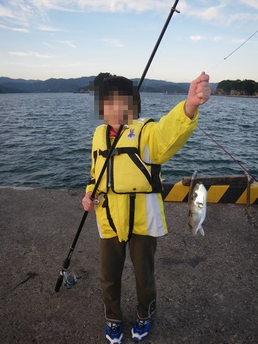 田曽浦へ久しぶりの釣り_e0166016_11144575.jpg