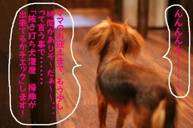 やっぱり千葉がいい！！_b0130018_125639100.jpg