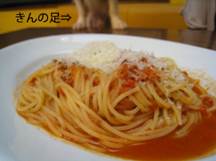 a0152820_0181567.jpg