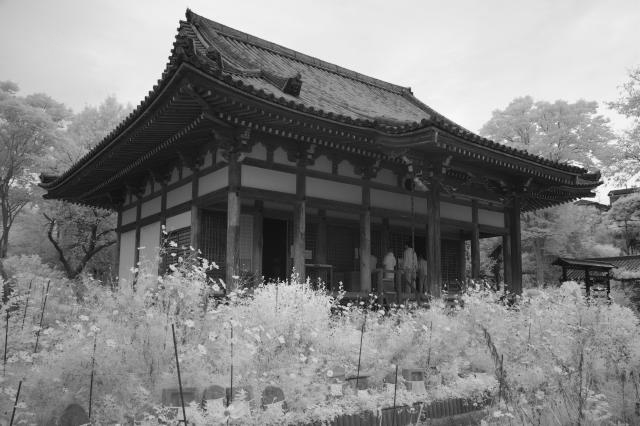 般若寺_b0181620_739397.jpg