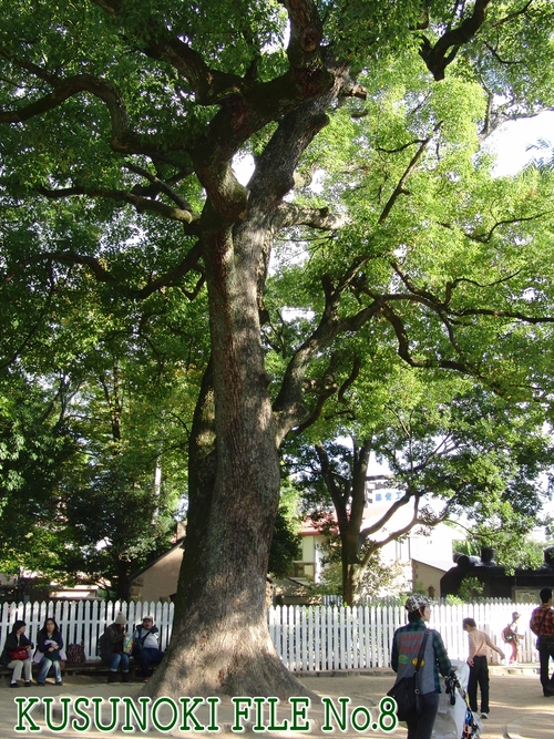 e0179321_21311254.jpg