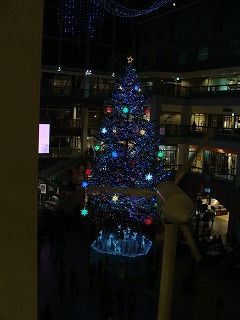 f0170524_10322288.jpg