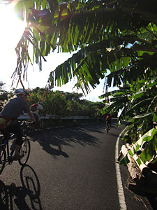 d0023725_1910252.jpg