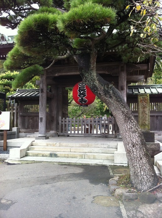 kamakura_c0035828_1855349.jpg