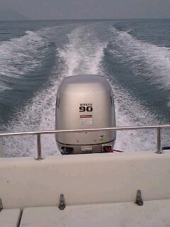 F115PS船外機試運転台