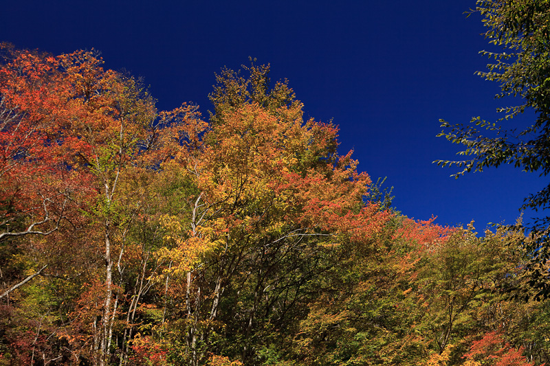 f0142232_14375822.jpg
