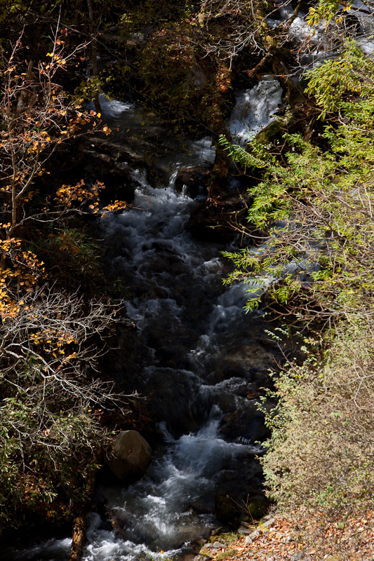 f0142232_14382294.jpg