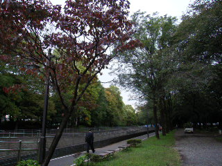 角川庭園と郷土博物館_e0085133_1210337.jpg