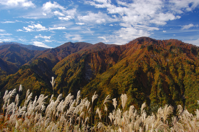 白山スーパー林道の紅葉_e0055138_11351928.jpg