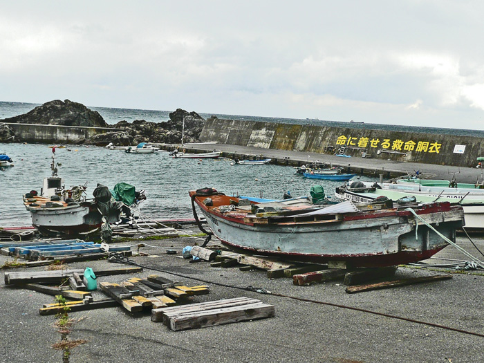 種差（たねさし）海岸遊歩道_c0192843_1054546.jpg