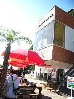 d0089446_11145060.jpg