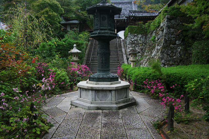 秋明菊の咲く境内（善峯寺・前編）_f0155048_21155233.jpg