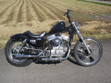 2007XL883L カスタム_c0133351_19174919.jpg