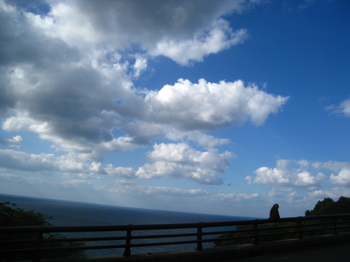 b0160957_14125895.jpg
