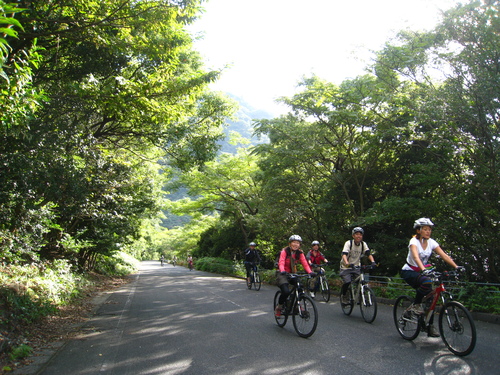 b0160957_14528100.jpg