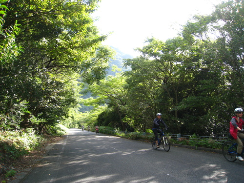b0160957_1464031.jpg