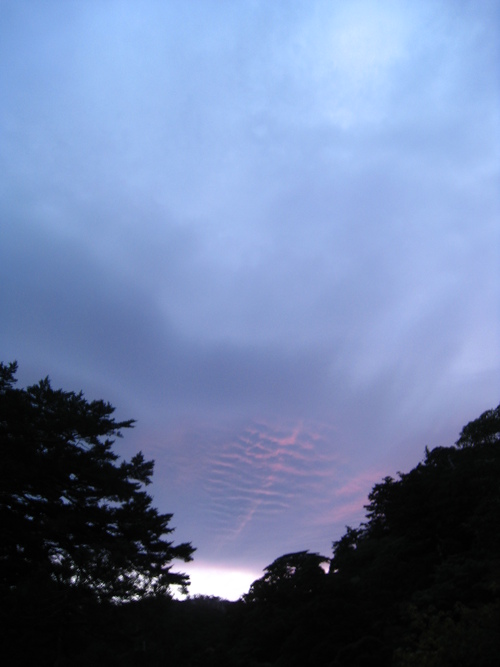 b0160957_15241377.jpg